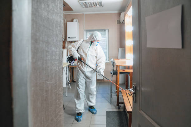 Best Mold Remediation for Healthcare Facilities  in North Ogden, UT